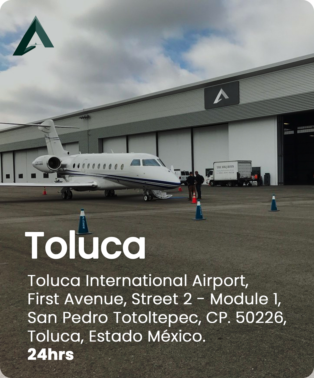 Has_fly_toluca